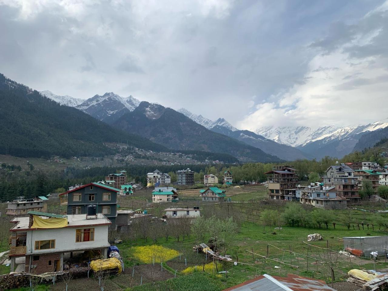 Timber Hill Hotel - Manali (Himachal Pradesh) — Fotos 3